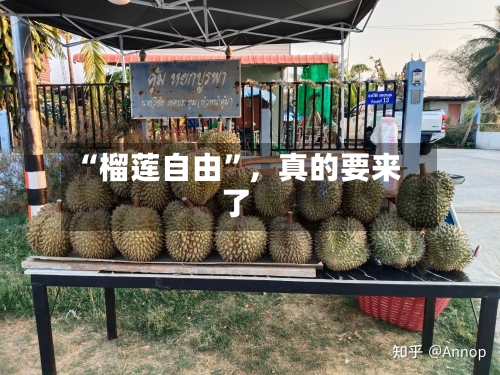 “榴莲自由”，真的要来了