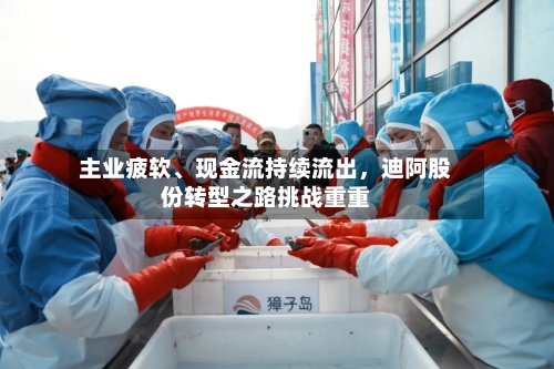 主业疲软、现金流持续流出，迪阿股份转型之路挑战重重