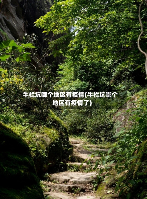 牛栏坑哪个地区有疫情(牛栏坑哪个地区有疫情了)