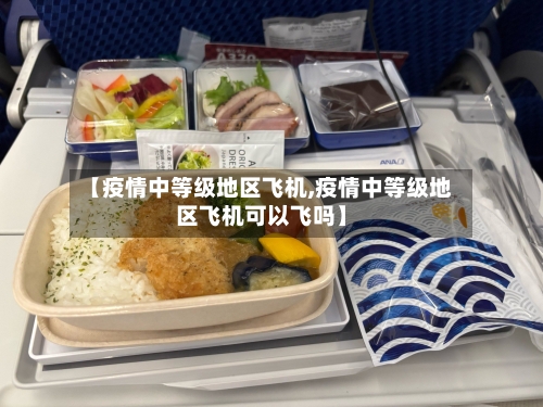 【疫情中等级地区飞机,疫情中等级地区飞机可以飞吗】