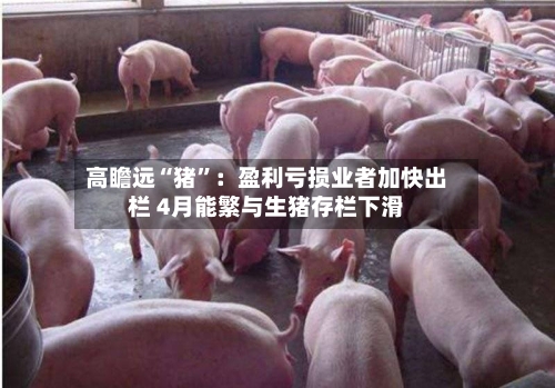 高瞻远“猪”：盈利亏损业者加快出栏 4月能繁与生猪存栏下滑
