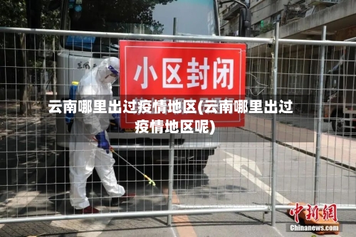 云南哪里出过疫情地区(云南哪里出过疫情地区呢)