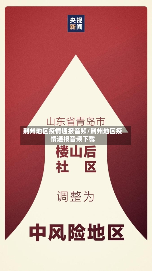 荆州地区疫情通报音频/荆州地区疫情通报音频下载